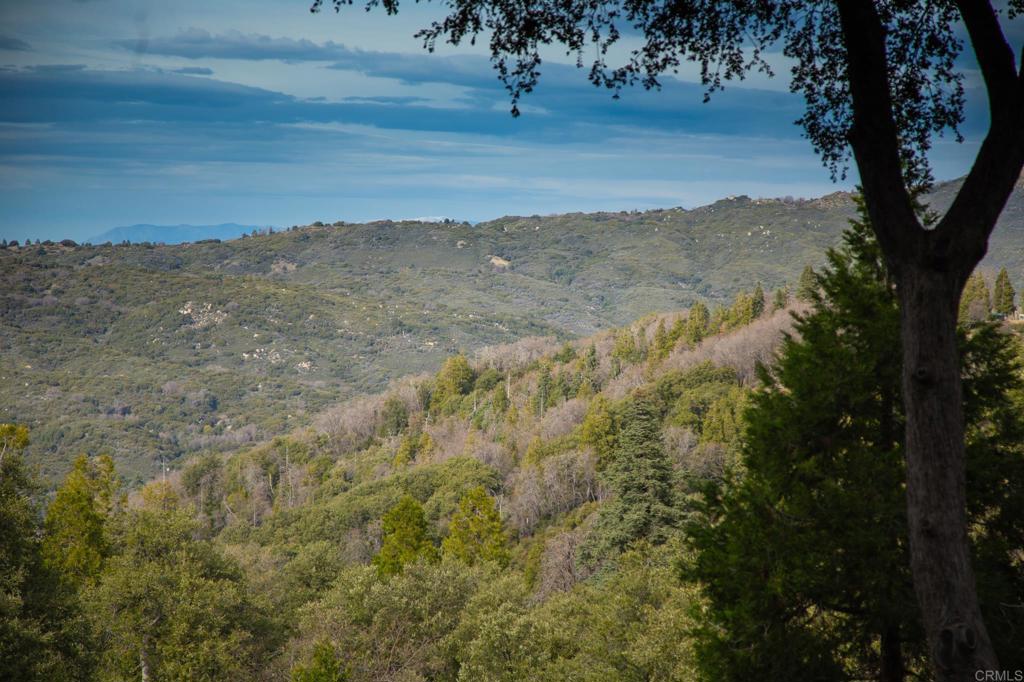 22234 Crestline Road Palomar Mountain, CA 92060 - Photo 41 of 60