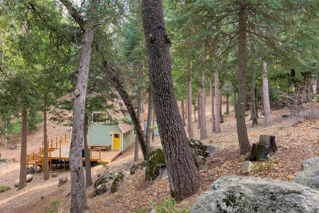 22234 Crestline Road Palomar Mountain, CA 92060 - Photo 43 of 60