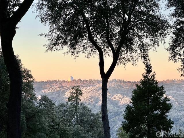 22234 Crestline Road Palomar Mountain, CA 92060 - Photo 45 of 60