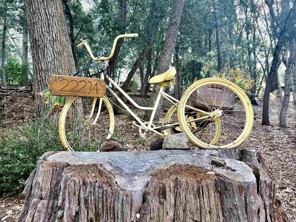 22234 Crestline Road Palomar Mountain, CA 92060 - Photo 46 of 60