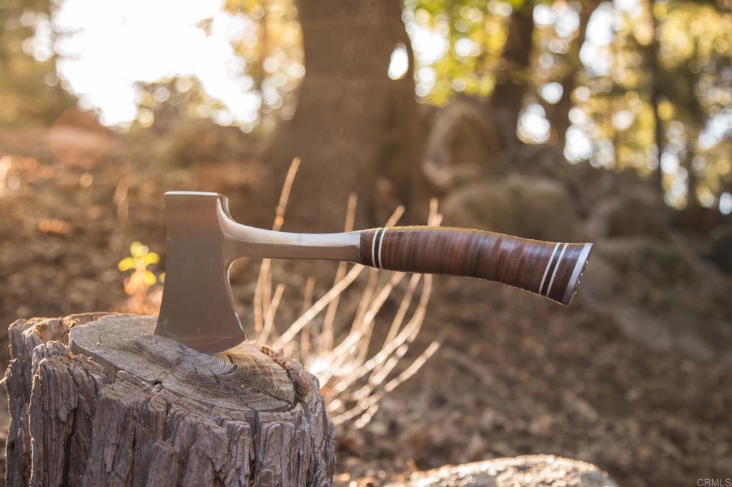 22234 Crestline Road Palomar Mountain, CA 92060 - Photo 49 of 60