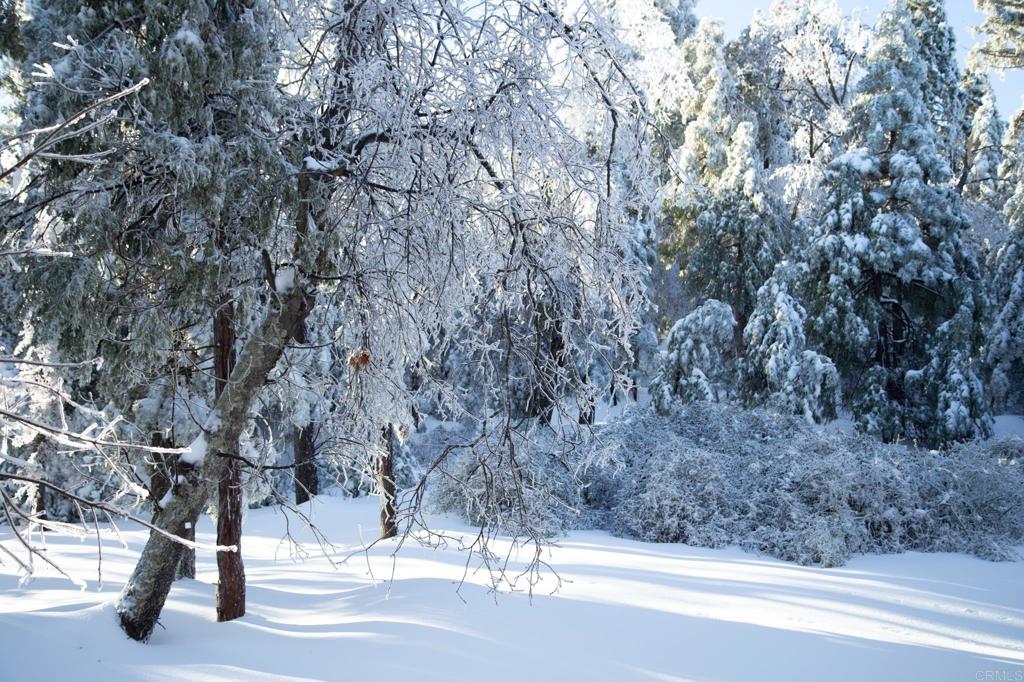 22234 Crestline Road Palomar Mountain, CA 92060 - Photo 56 of 60