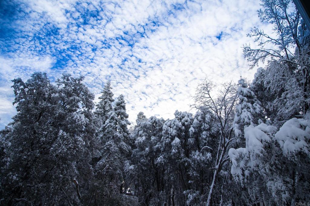 22234 Crestline Road Palomar Mountain, CA 92060 - Photo 57 of 60