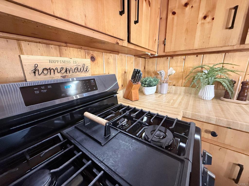 22234 Crestline Road Palomar Mountain, CA 92060 - Photo 10 of 60