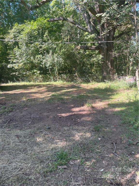 16 Cauthen Street Rock Hill, SC 29730 - Photo 10 of 11 a view of a yard with a tree