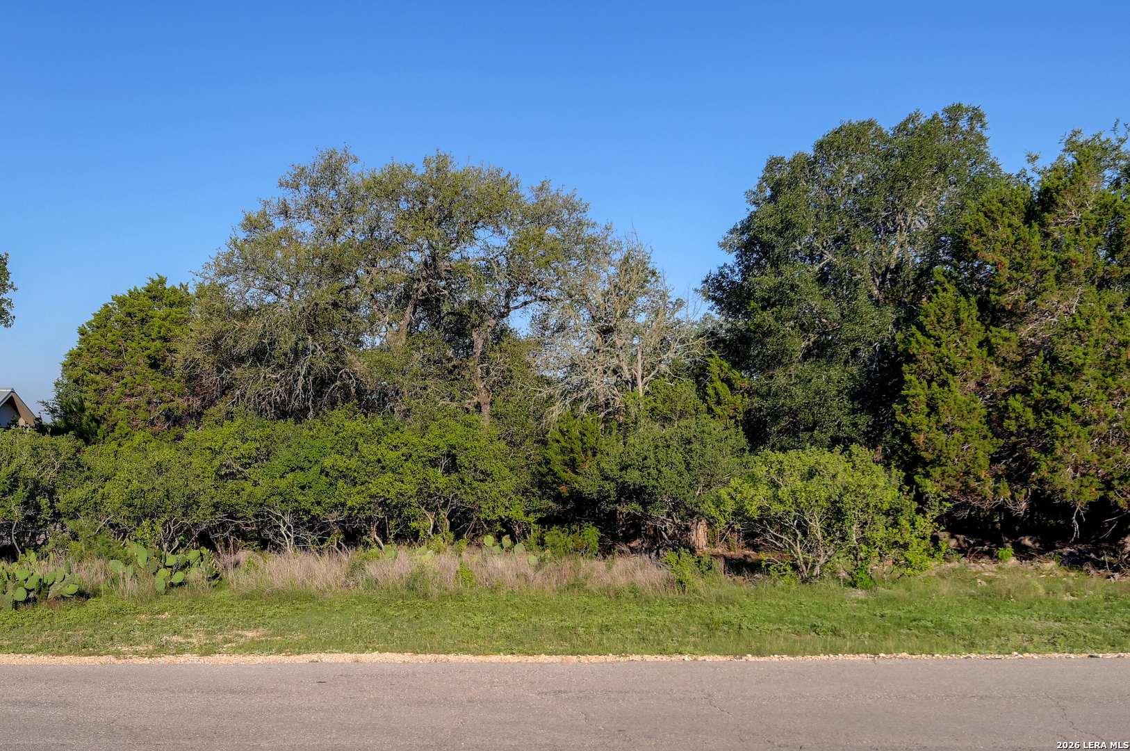 315 Rittimann Road Spring Branch, TX 78070 - Photo 25 of 51
