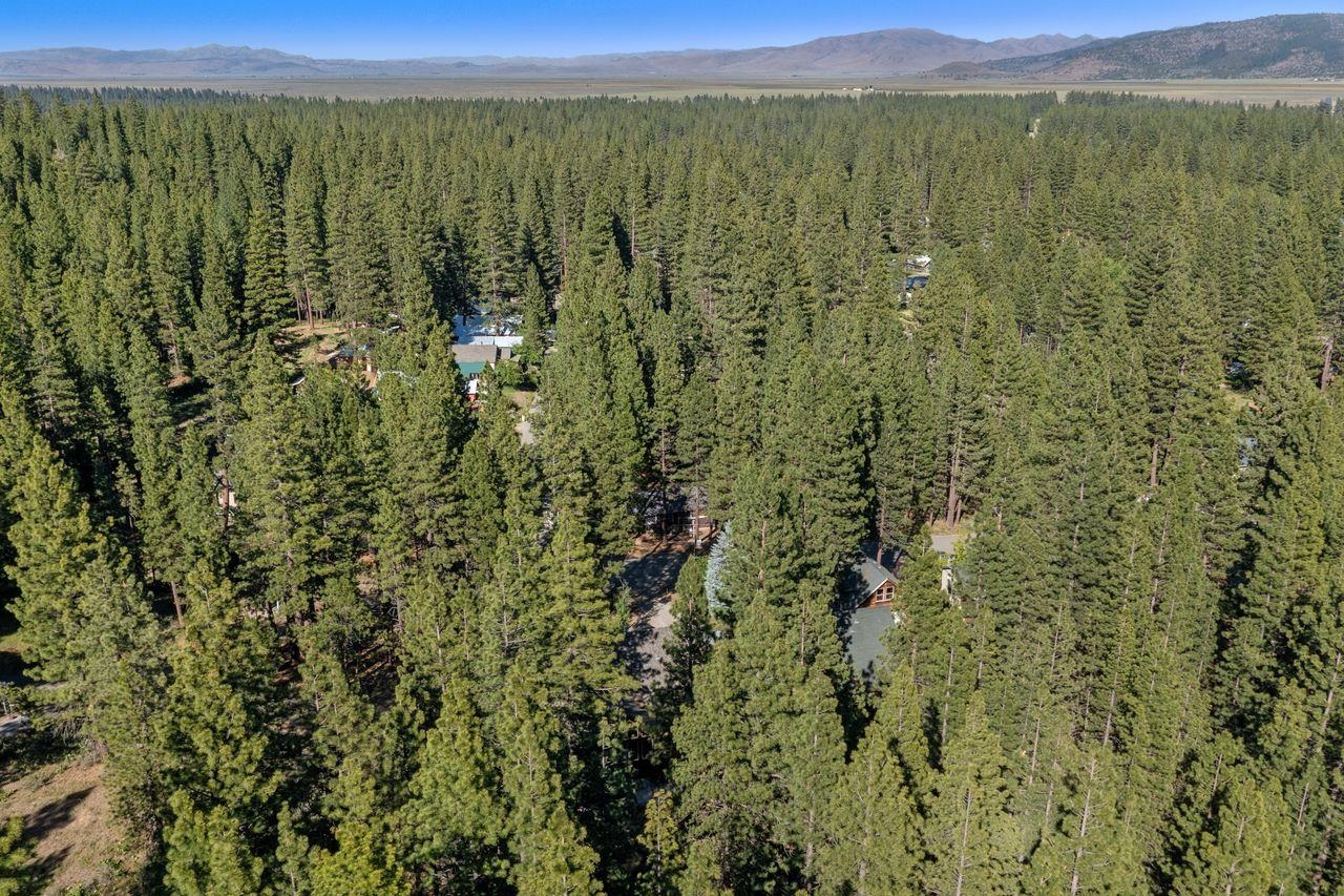 305 Mt View Road Calpine, CA 96124 - Photo 42 of 50