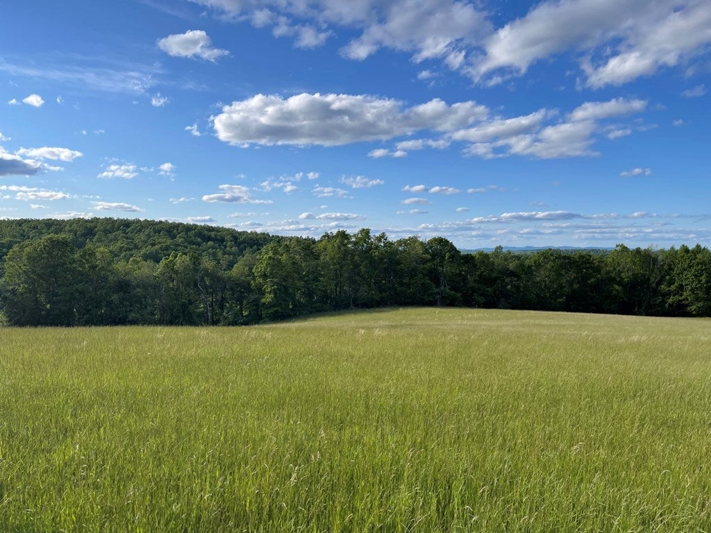 Tbd Frog Spur Road, Unit 3B 3C Fancy Gap, VA 24328 - Photo 5 of 13 Gallery Image 5