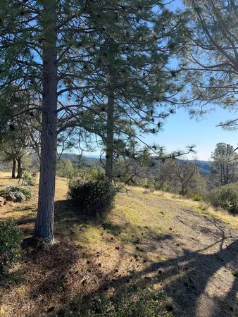 $250,000 | 5611 Donkey Lane, Coulterville, CA 95311