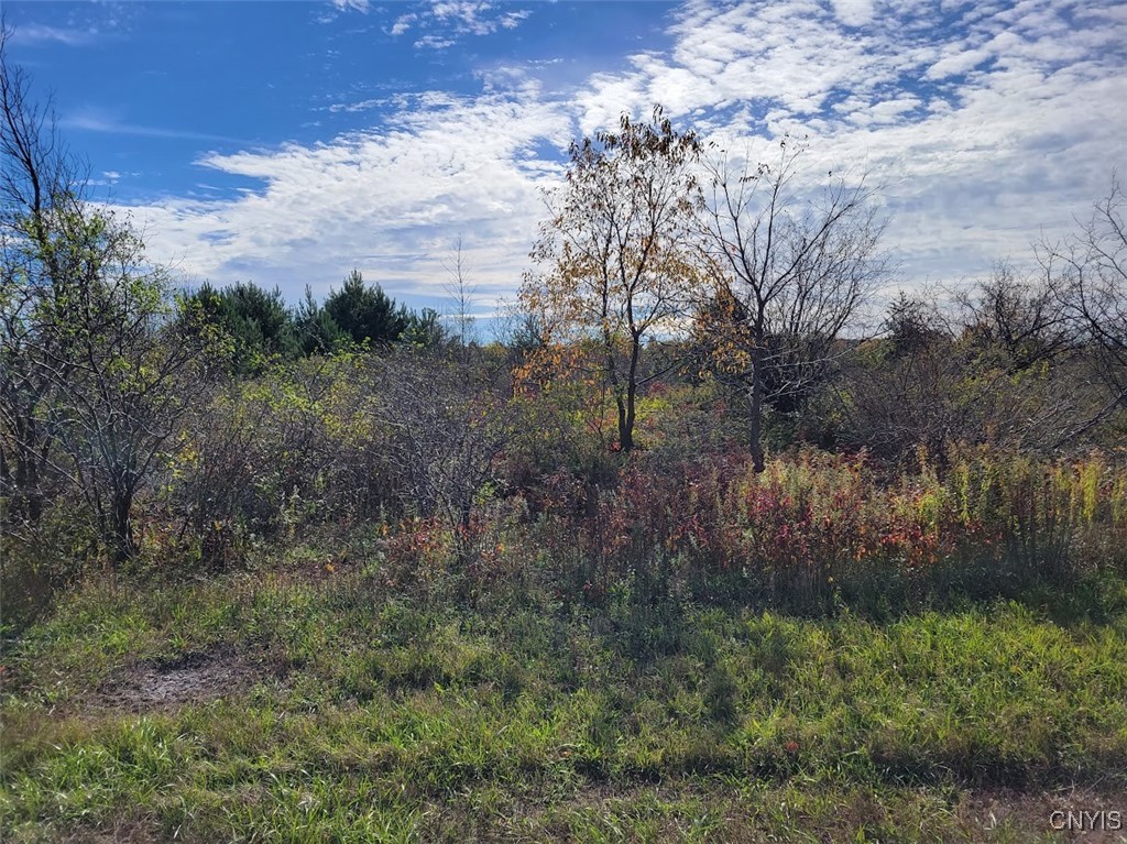 60 County Route Watertown, NY 13601 - Photo 4 of 17