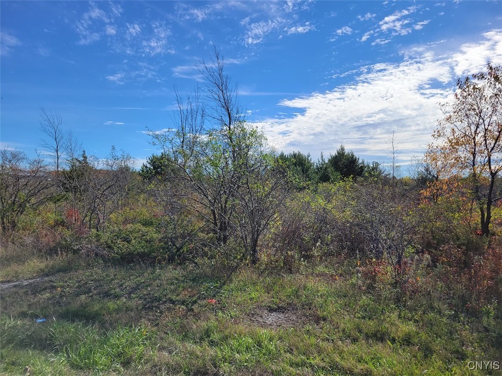 60 County Route Watertown, NY 13601 - Photo 5 of 17