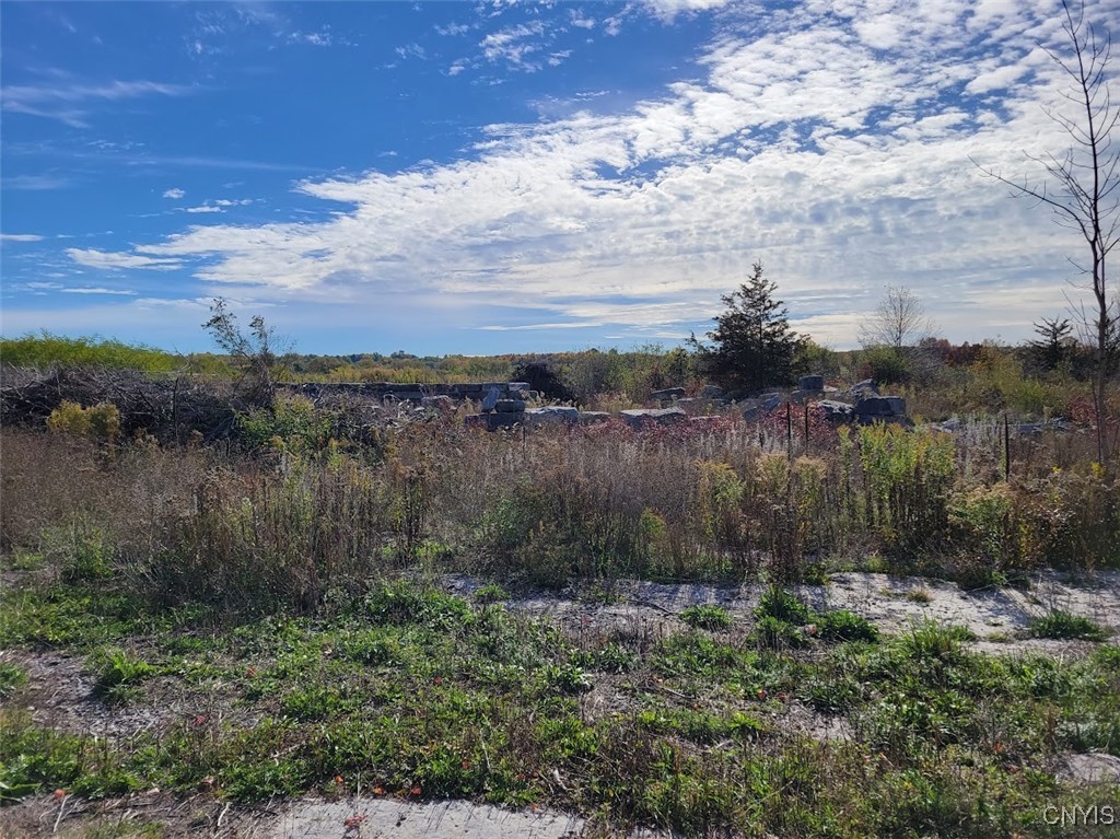 60 County Route Watertown, NY 13601 - Photo 6 of 17