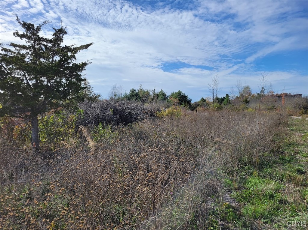 60 County Route Watertown, NY 13601 - Photo 8 of 17