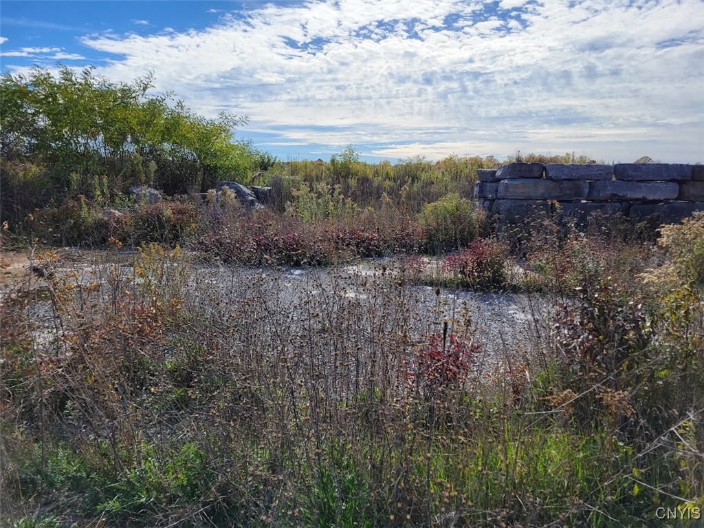 60 County Route Watertown, NY 13601 - Photo 10 of 17