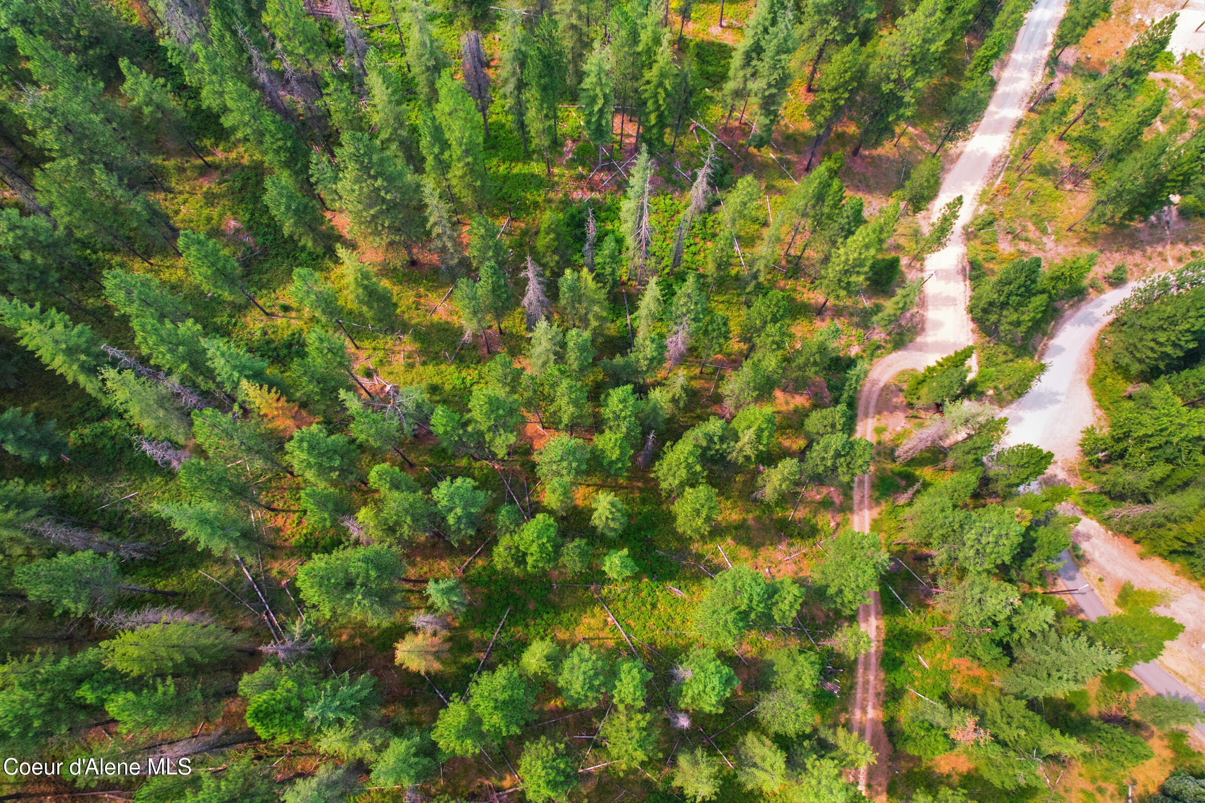 Nka Kelly Gulch Road Pinehurst, ID 83850 - Photo 10 of 13 005-nkaKellyGulchRoad-Pinehurst-ID-83850