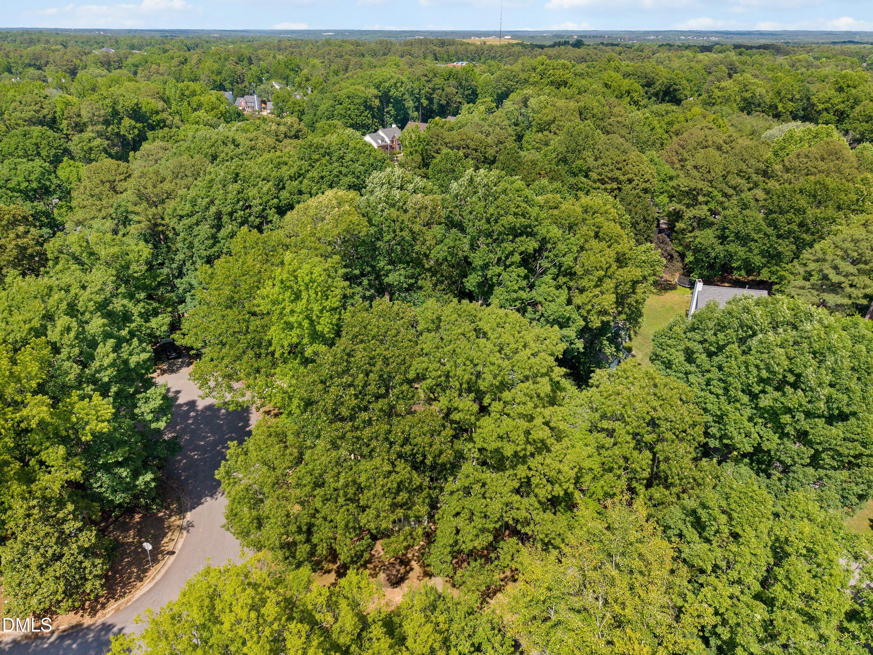 8901 Campfire Trail Raleigh, NC 27615 - Photo 63 of 70