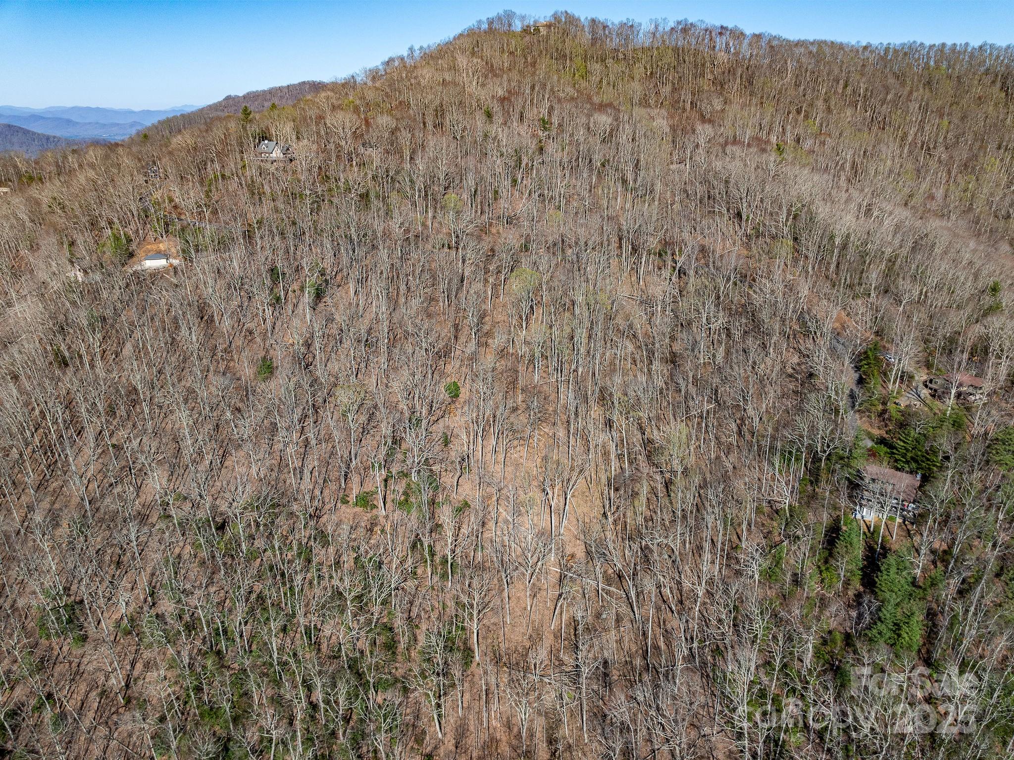 99999 Chestnut Forest Road, Unit 412 & #413 Fairview, NC 28730 - Photo 28 of 36