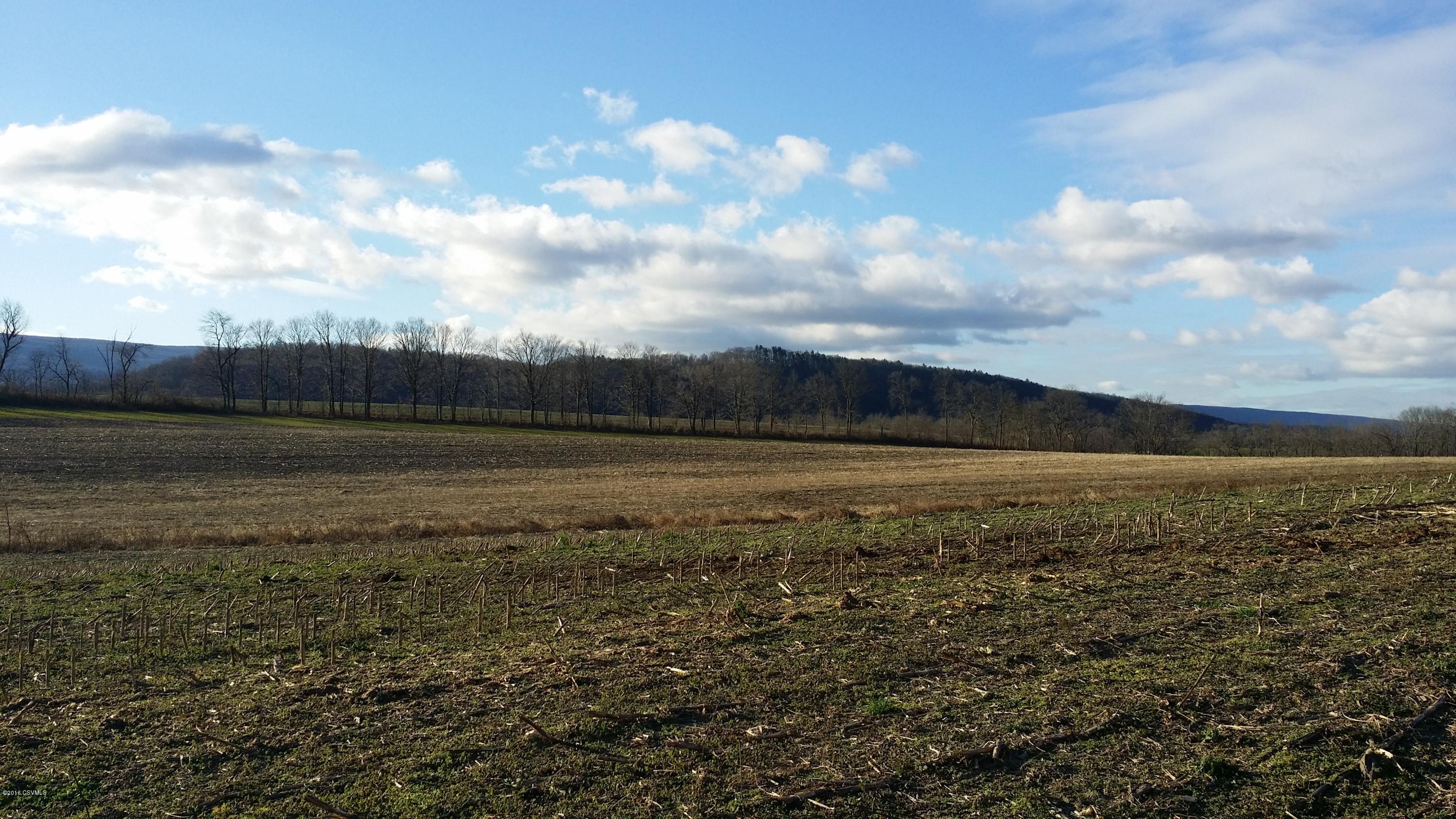 265 Bailey Hill Road Beavertown, PA 17813 - Photo 13 of 15 Gallery Image 13
