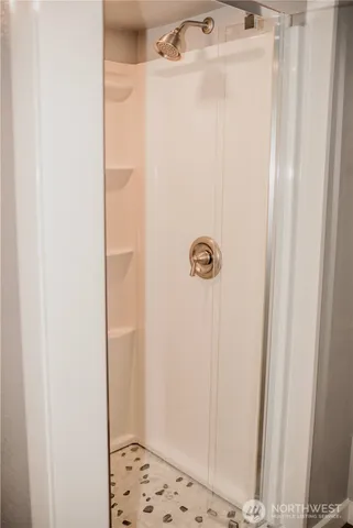 a view of backyard with large tree