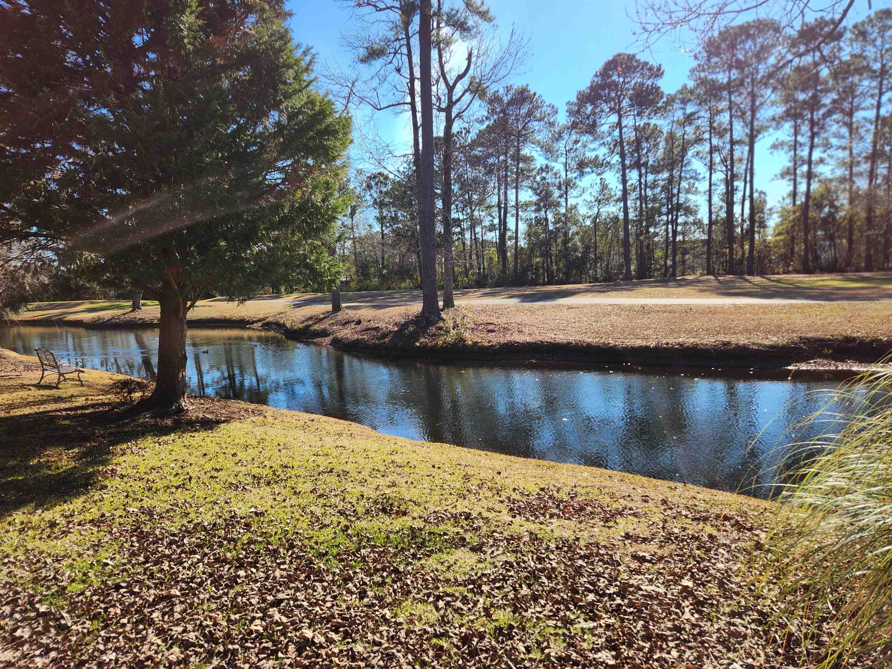 9398 Pinckney Lane Murrells Inlet, SC 29576 - Photo 19 of 22 Gallery Image 19