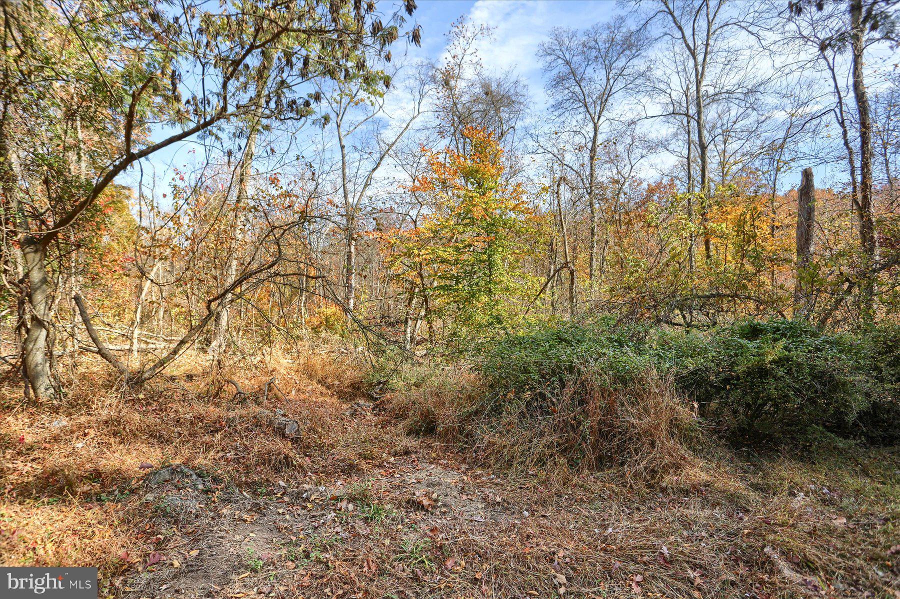 7800 Bull Road Lewisberry, PA 17339 - Photo 5 of 20