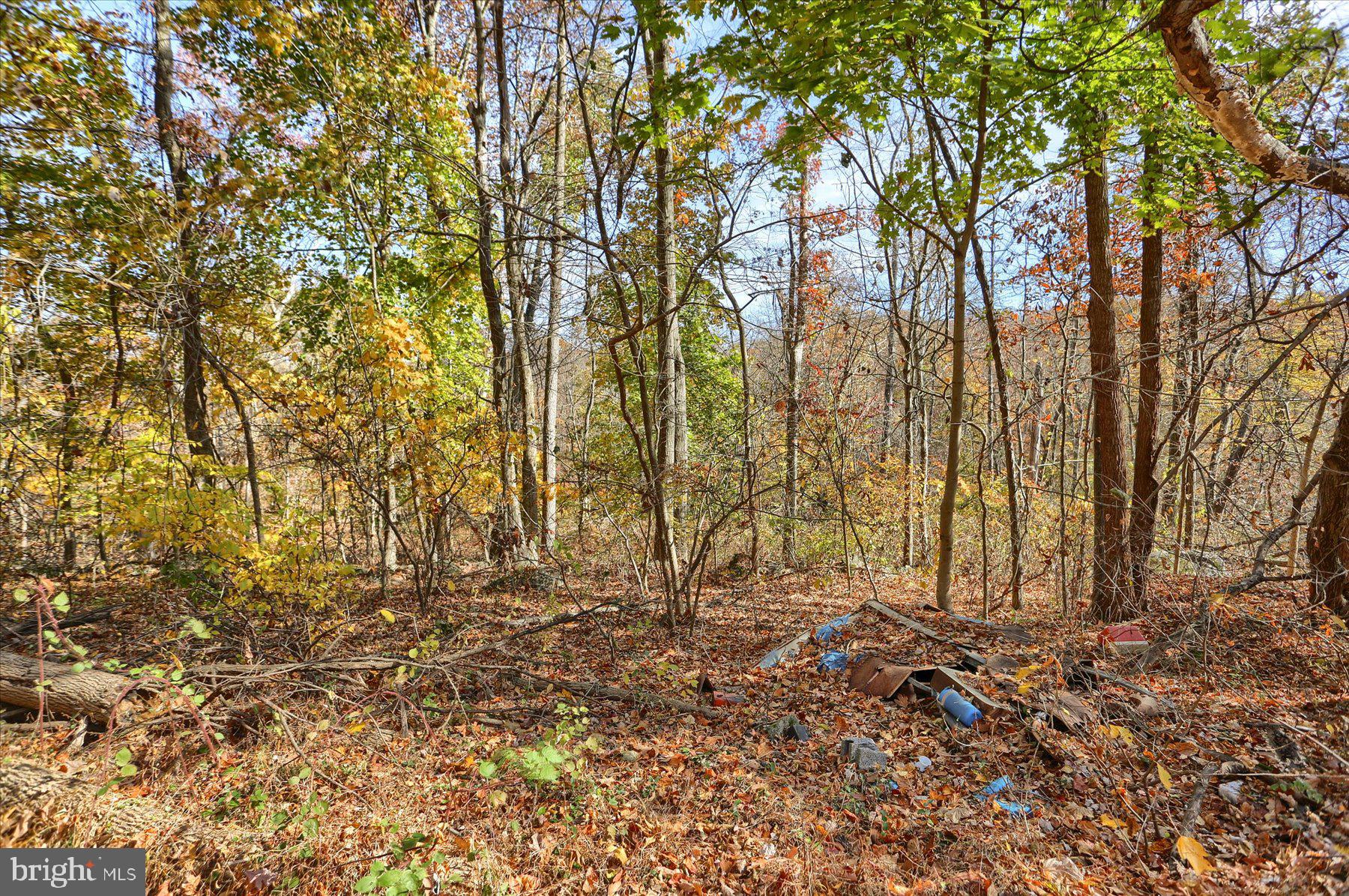 7800 Bull Road Lewisberry, PA 17339 - Photo 8 of 20