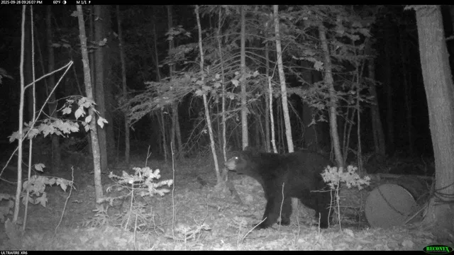 $44,900 | 6392 Old U S 45, Watersmeet, MI 49969