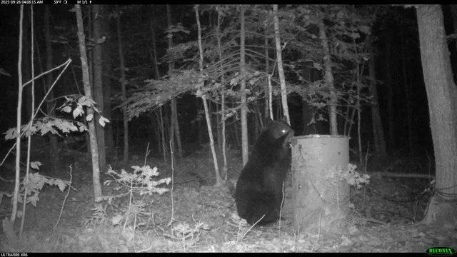 $44,900 | 6392 Old U S 45, Watersmeet, MI 49969