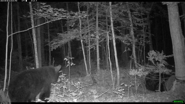 $44,900 | 6392 Old U S 45, Watersmeet, MI 49969