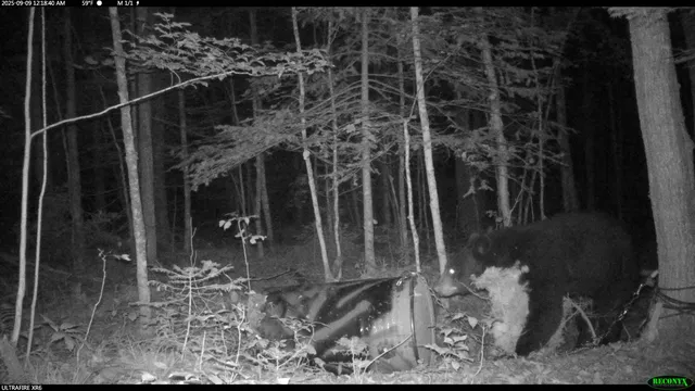 $44,900 | 6392 Old U S 45, Watersmeet, MI 49969