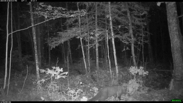 $44,900 | 6392 Old U S 45, Watersmeet, MI 49969