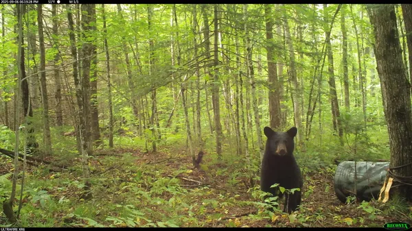 $44,900 | 6392 Old U S 45, Watersmeet, MI 49969