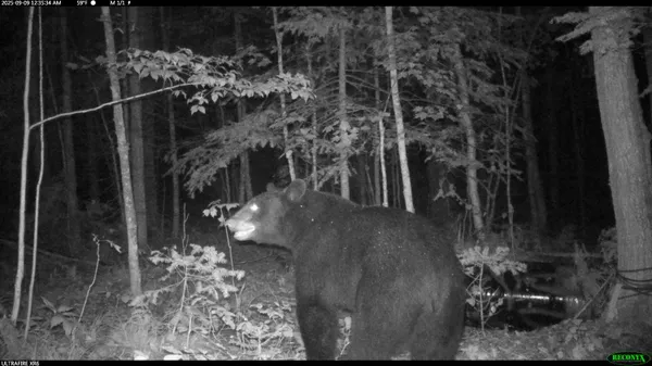 $44,900 | 6392 Old U S 45, Watersmeet, MI 49969