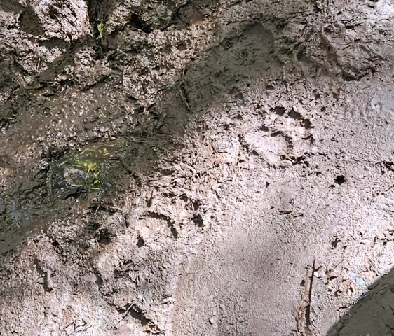 $44,900 | 6392 Old U S 45, Watersmeet, MI 49969