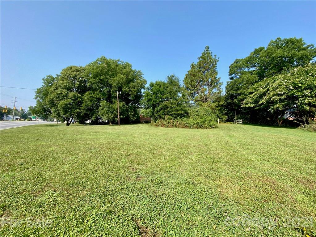8930 Cool Springs Road Woodleaf, NC 27054 - Photo 36 of 42 a view of a garden with trees