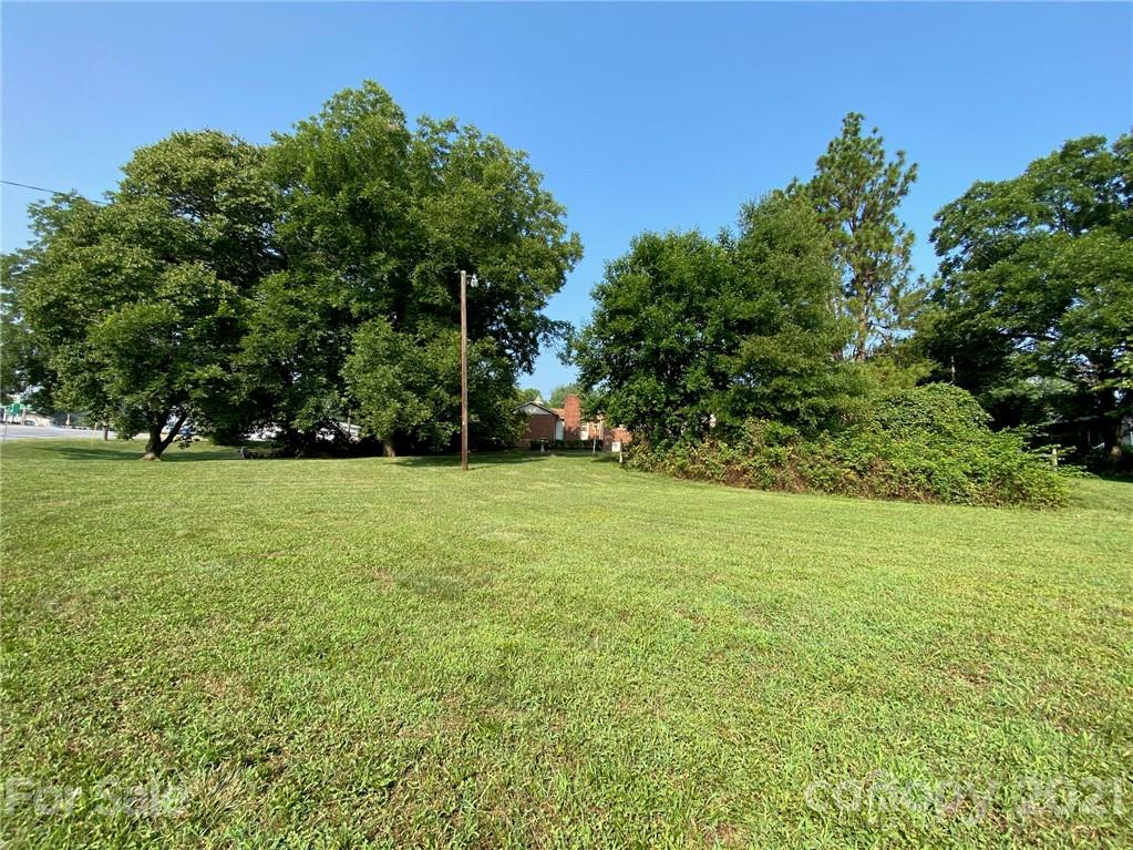 8930 Cool Springs Road Woodleaf, NC 27054 - Photo 37 of 42 a view of a field of grass and trees