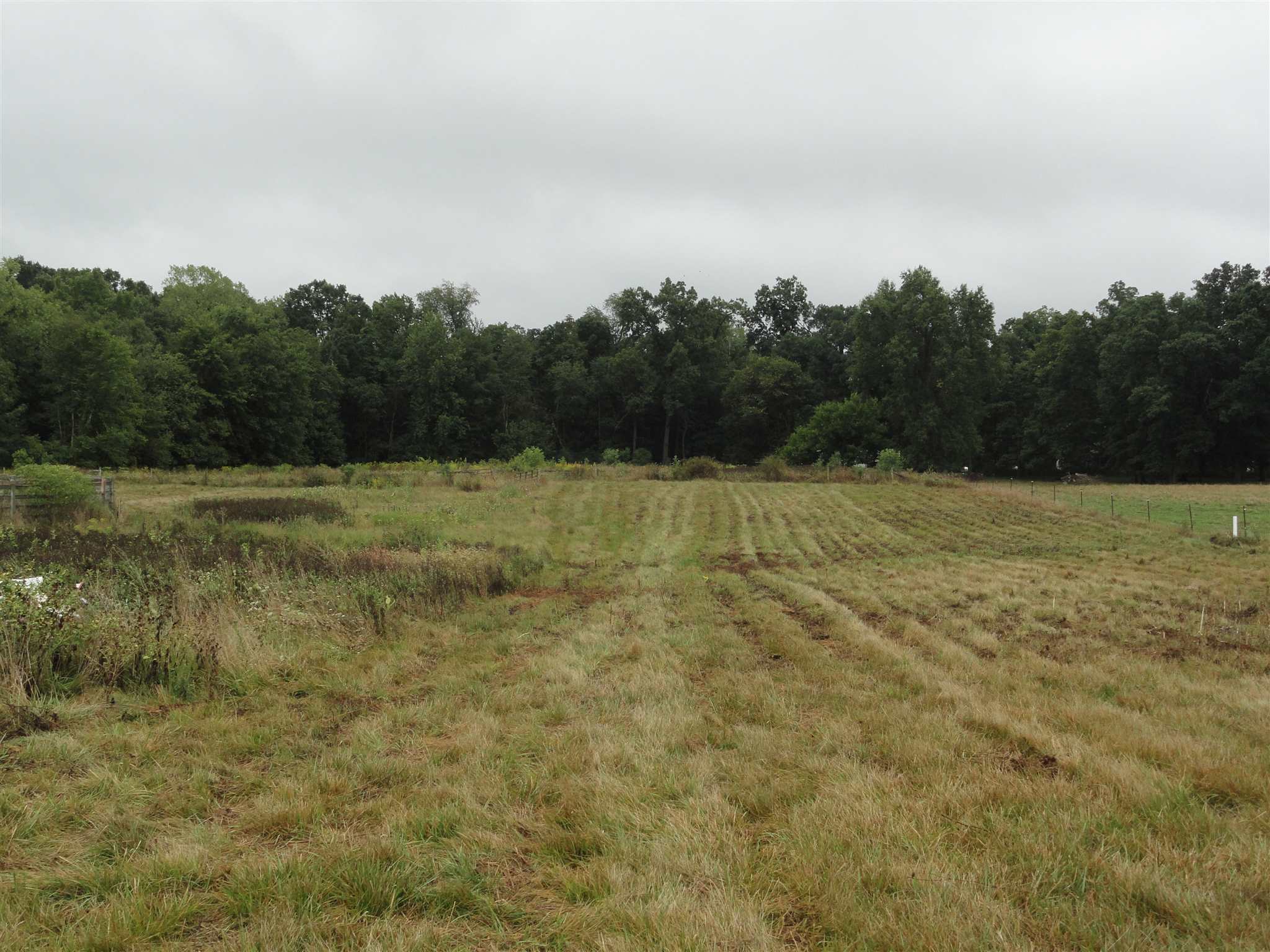 6203 McComb Road Huntertown, IN 46748 - Photo 20 of 24
