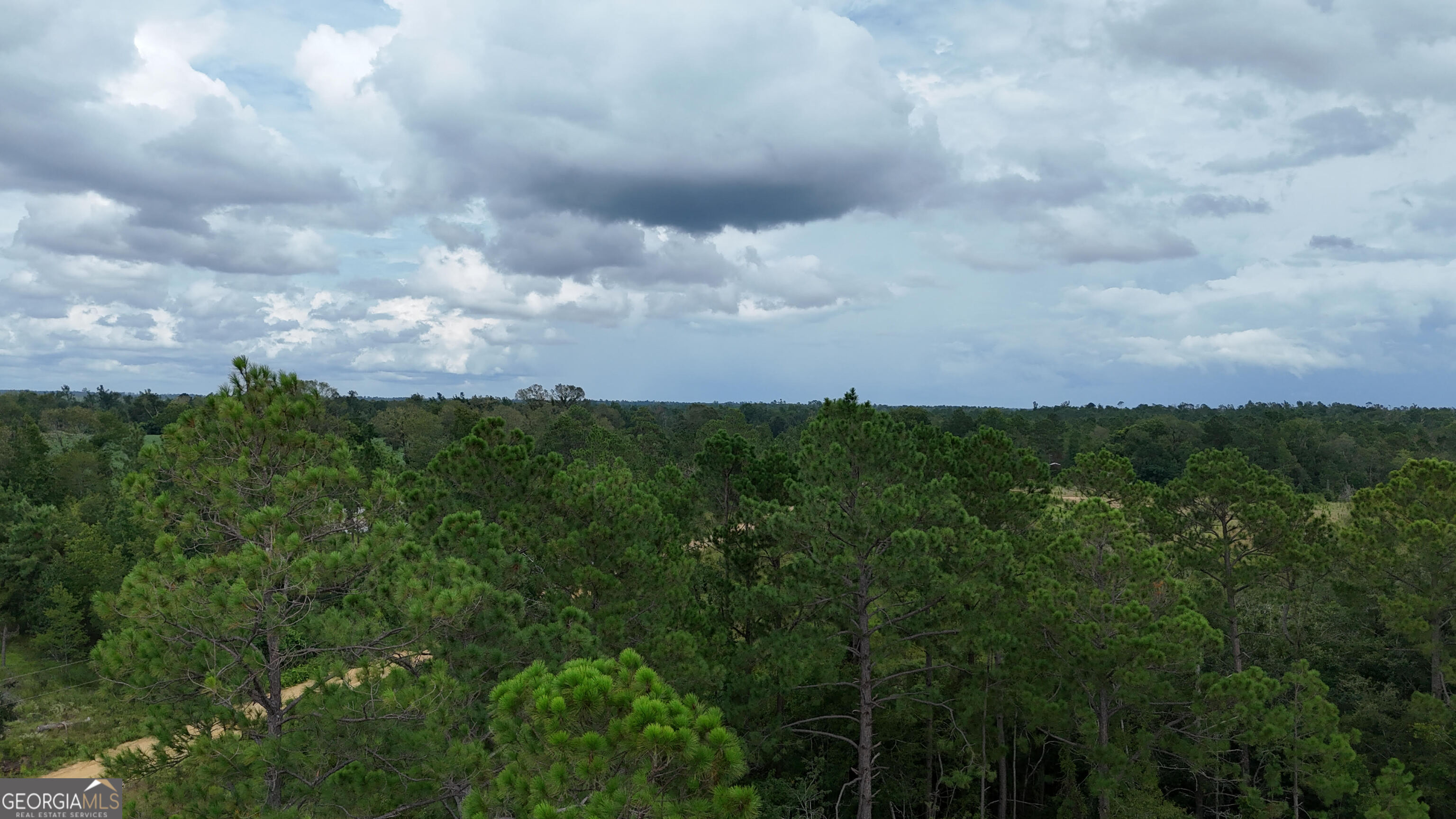 1025 Old Dairy Road Ailey, GA 30410 - Photo 6 of 10