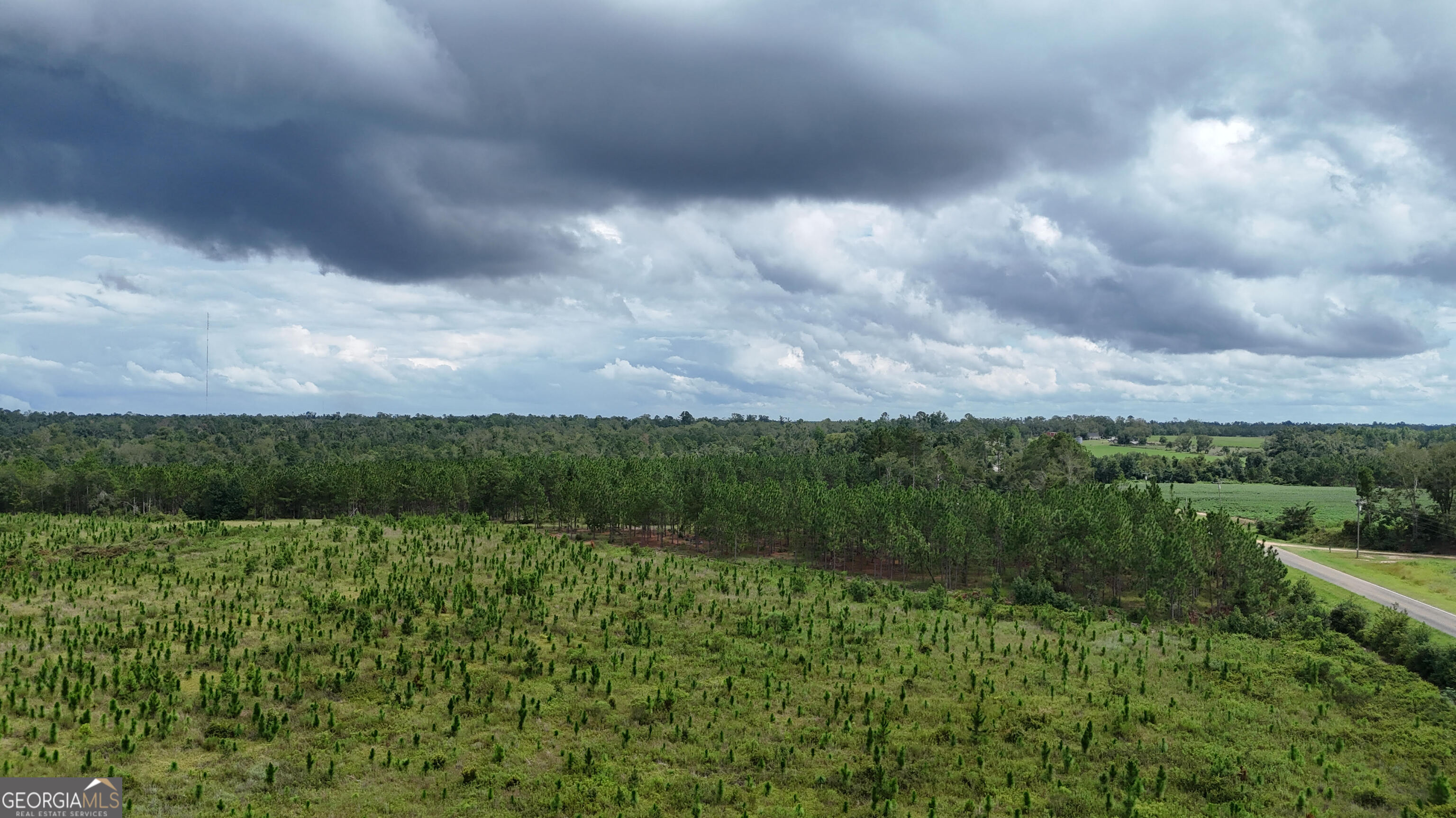 1025 Old Dairy Road Ailey, GA 30410 - Photo 8 of 10 a view of a lake with a yard