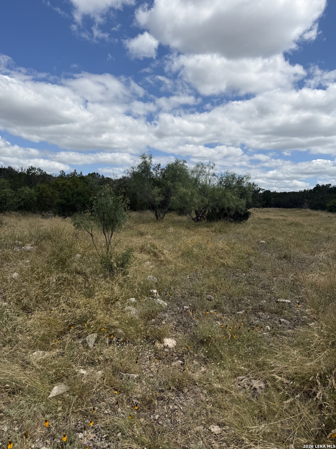 195 SD 45190 Rocksprings, TX 78880 - Photo 45 of 48