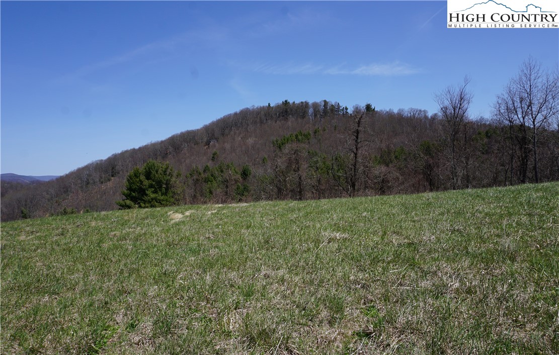 Lot 1 Longview Ridge Fleetwood, NC 28626 - Photo 2 of 7 Gallery Image 2