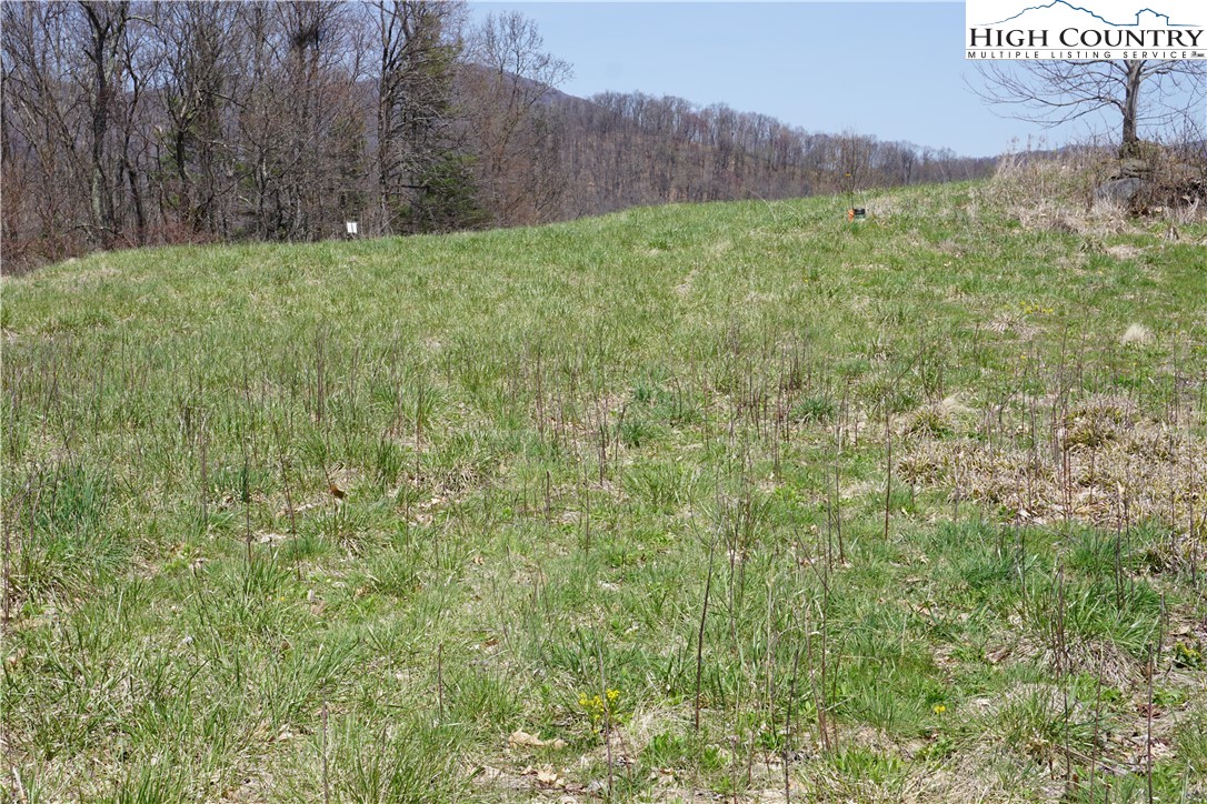 Lot 1 Longview Ridge Fleetwood, NC 28626 - Photo 5 of 7 Gallery Image 5