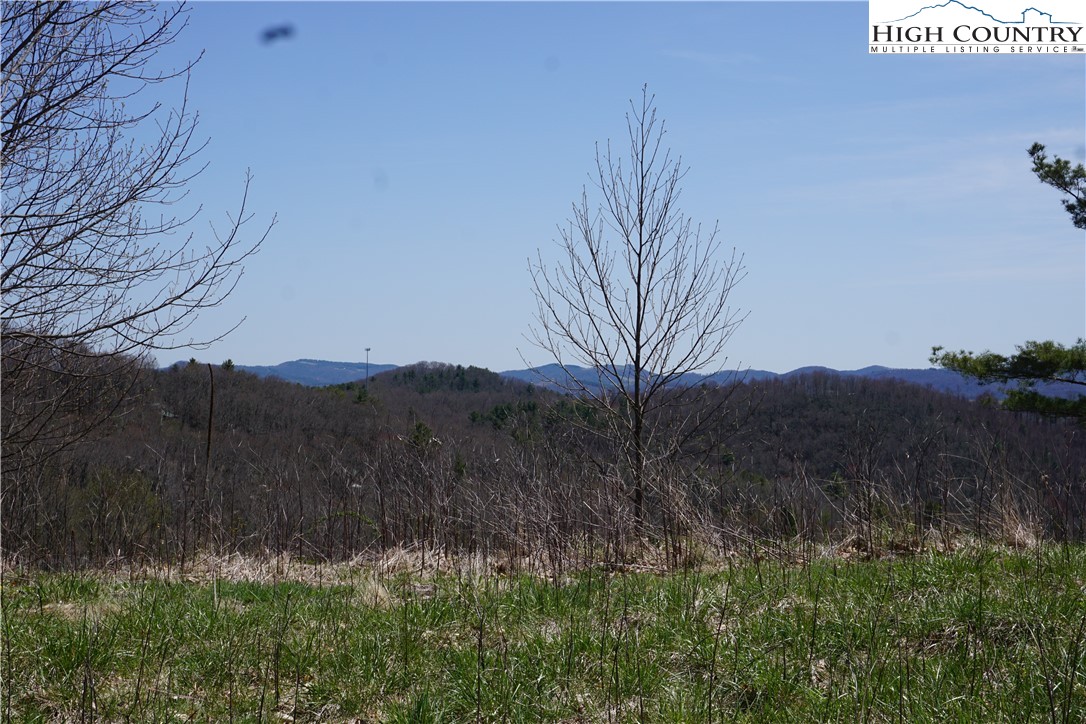 Lot 1 Longview Ridge Fleetwood, NC 28626 - Photo 7 of 7 Gallery Image 7