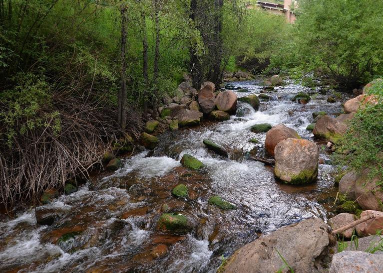 903 North Frontage Road West, Unit 7 Vail, CO 81657 - Photo 23 of 24 Additional Photo