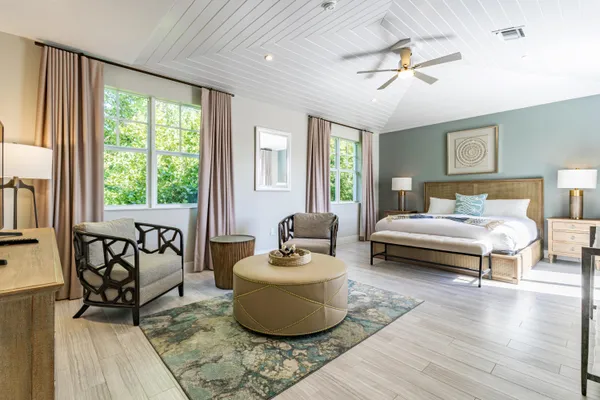 view of a street with potted plants and more windows