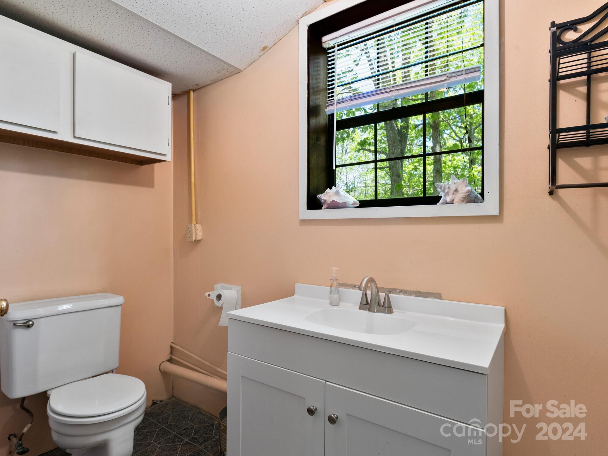 46 New Lite Road Fairview, NC 28730 - Photo 24 of 31 a bathroom with a sink a toilet and a window