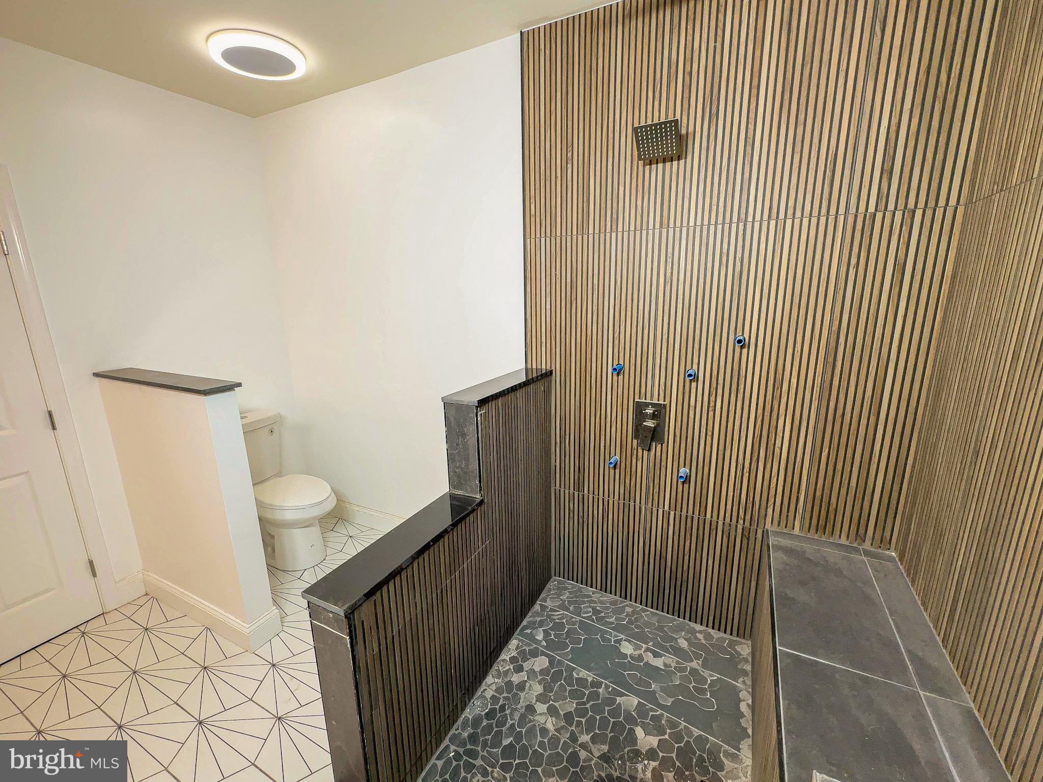 5725 13th Street Northwest Washington, DC 20011 - Photo 43 of 45 Bathroom