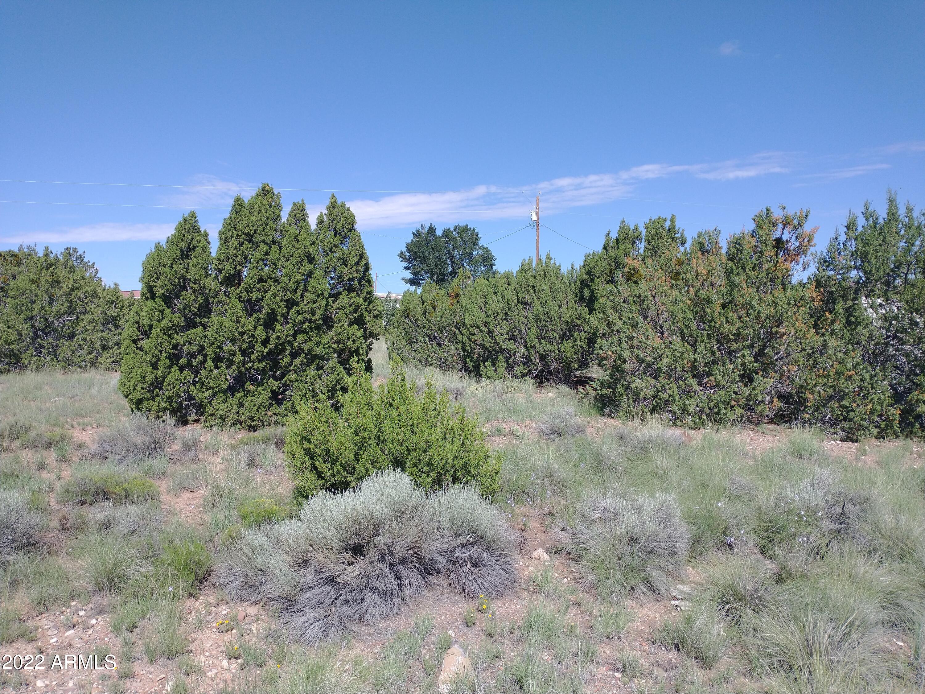 139 Frontage Road, Unit 2 Concho, AZ 85924 - Photo 6 of 9 IMG_20220818_095227590
