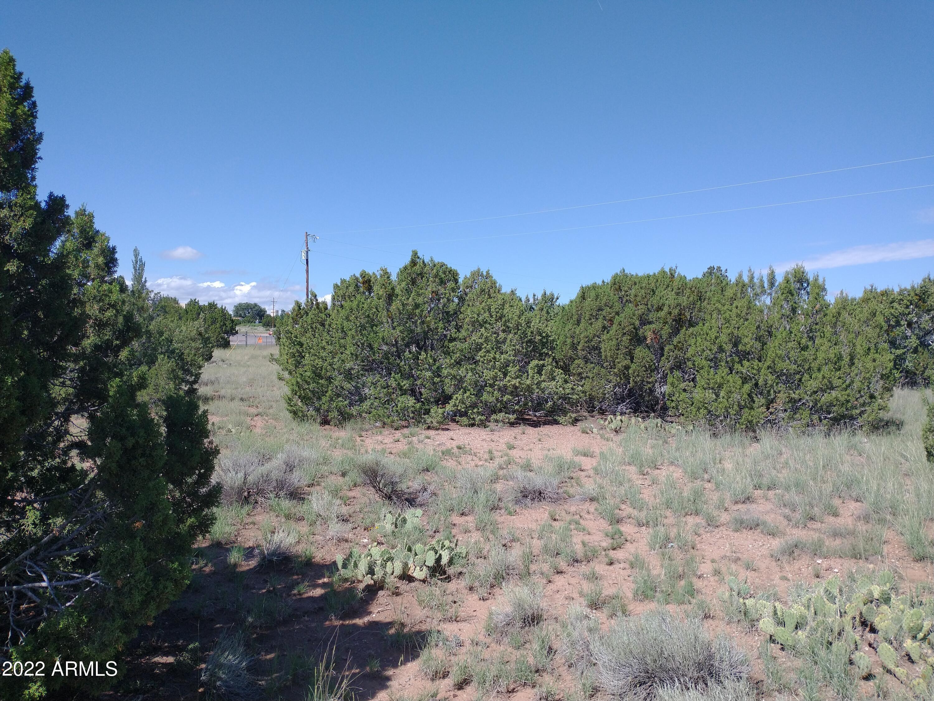 139 Frontage Road, Unit 2 Concho, AZ 85924 - Photo 7 of 9 IMG_20220818_095246020