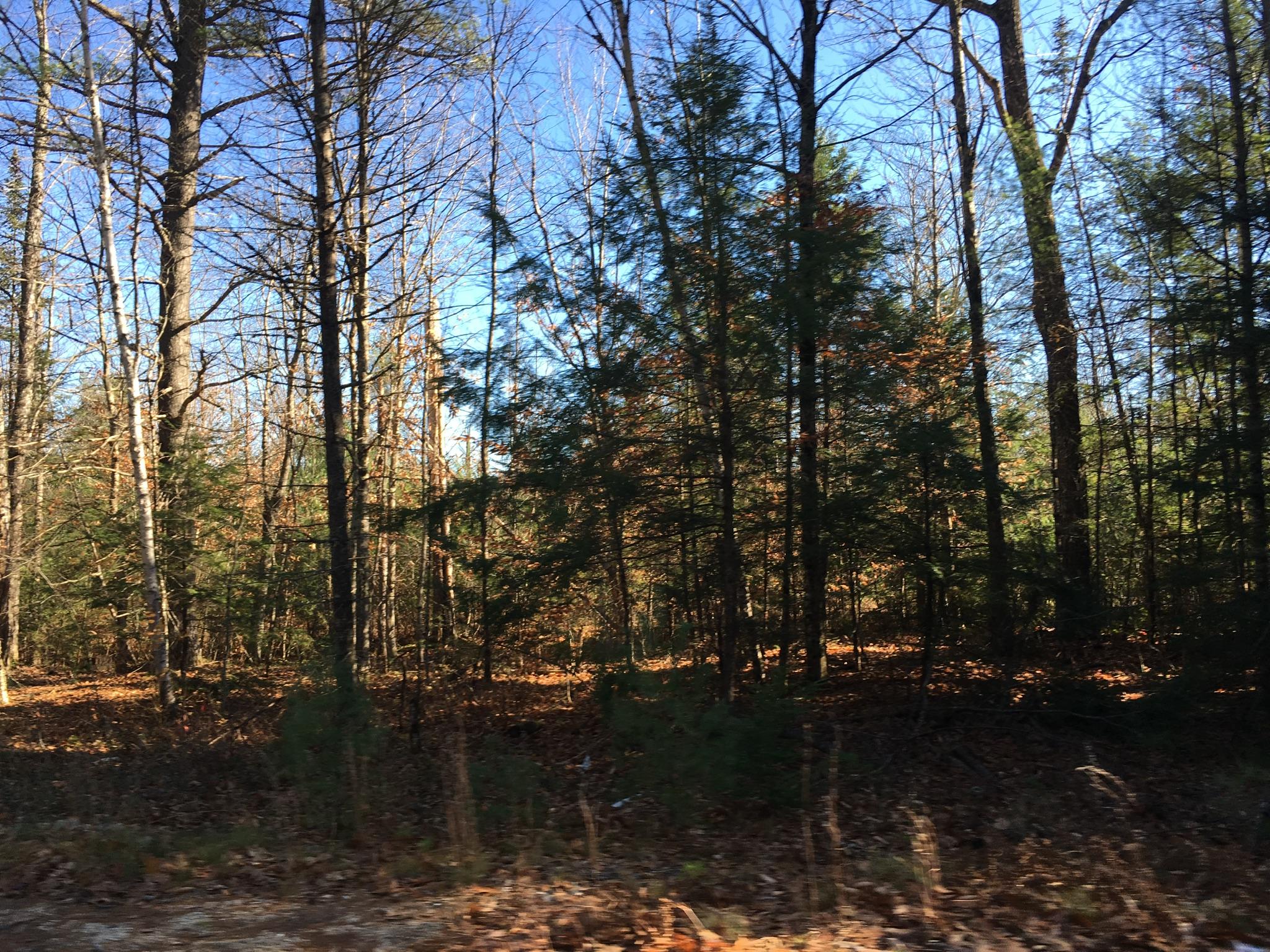 25-acres Sebago Road East Baldwin, ME 04024 - Photo 2 of 4 A5A46D97-659F-4191-8666-91C71D0ADE7F